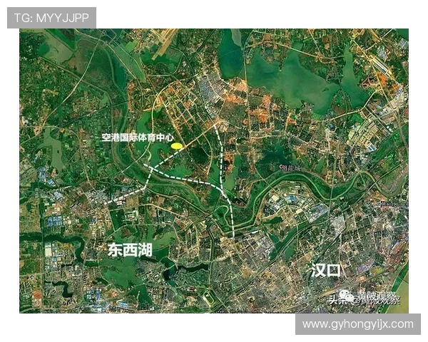 武汉网球队实力对比深度解析及未来发展趋势探讨