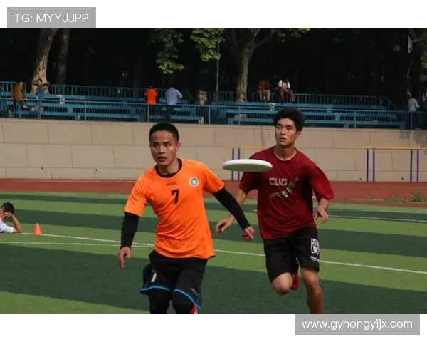 飞盘节奏排行榜发布武汉飞盘队荣登第六名展现实力与风采