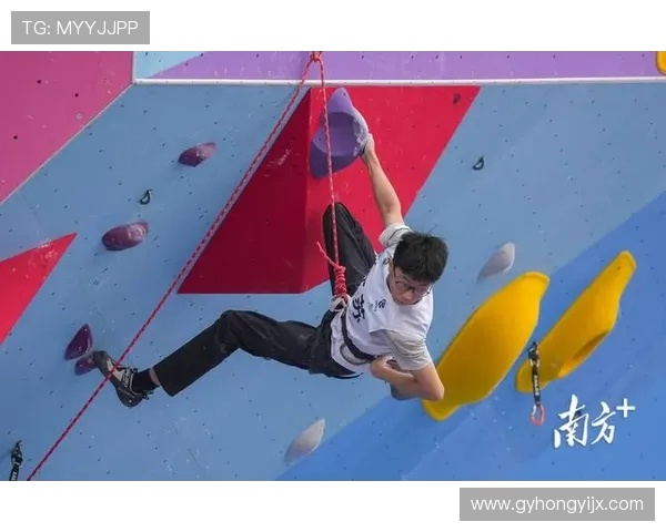 南京攀岩队在世界攀岩锦标赛中的战术分析与表现点评